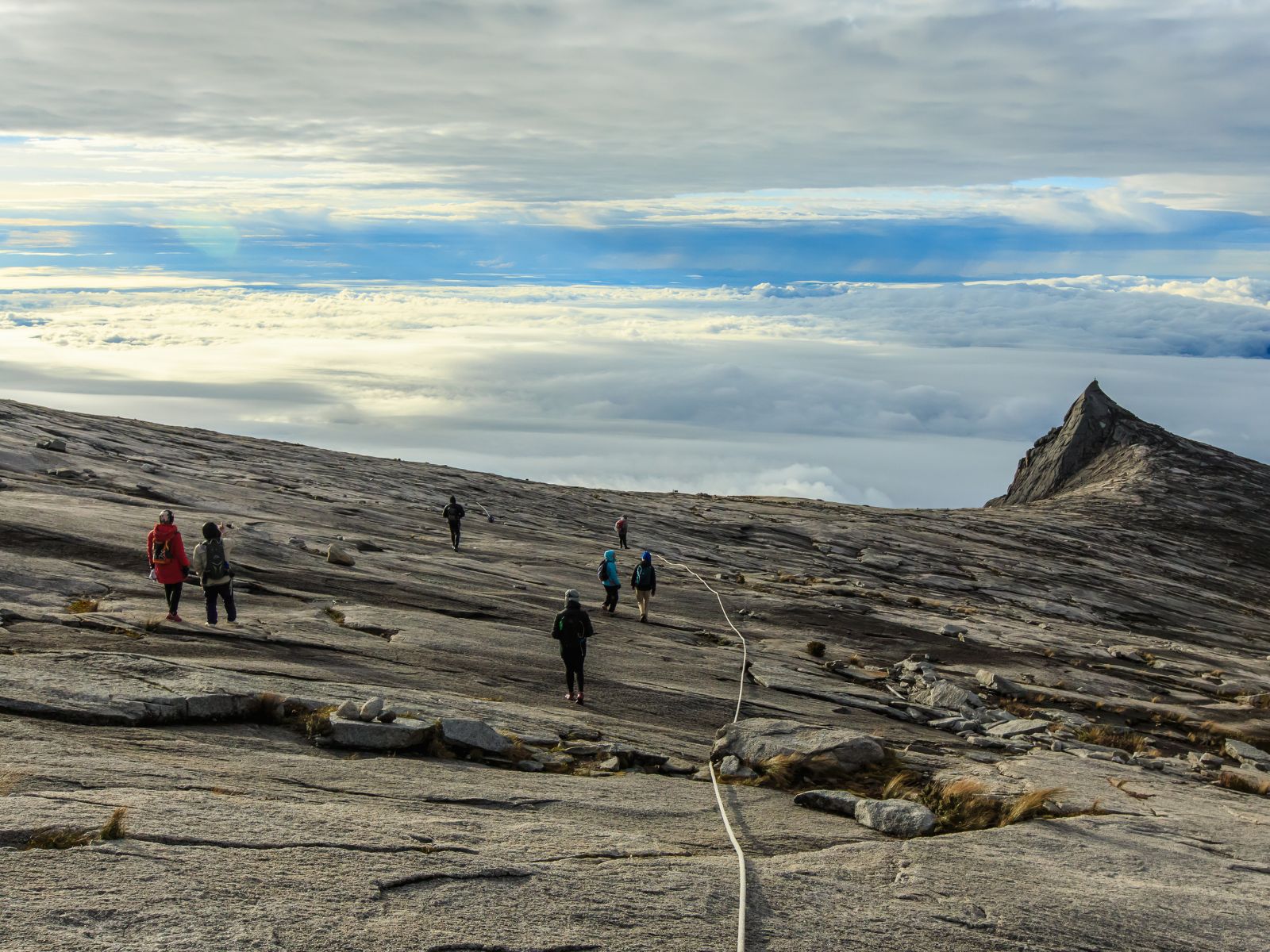 Trekking ở Kinabalu Park